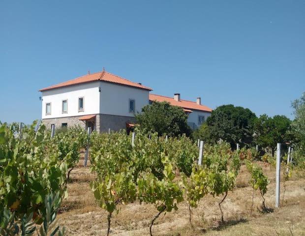 Quinta De Vodra Βίλα Seia Εξωτερικό φωτογραφία