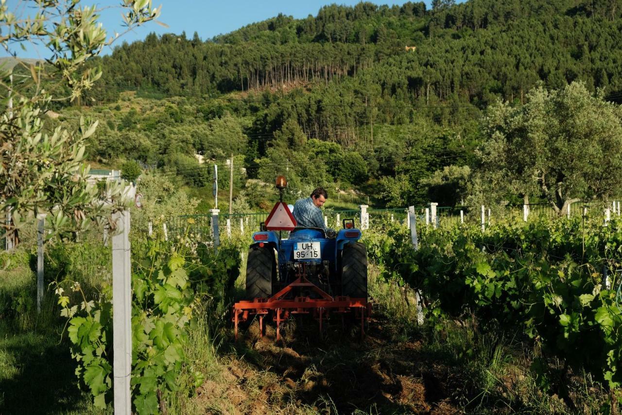 Quinta De Vodra Βίλα Seia Εξωτερικό φωτογραφία