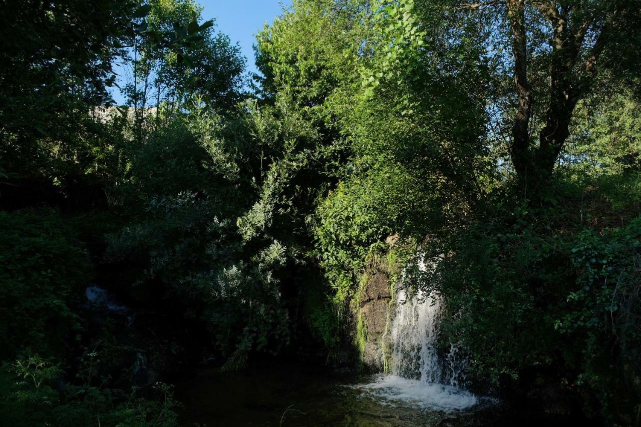Quinta De Vodra Βίλα Seia Εξωτερικό φωτογραφία